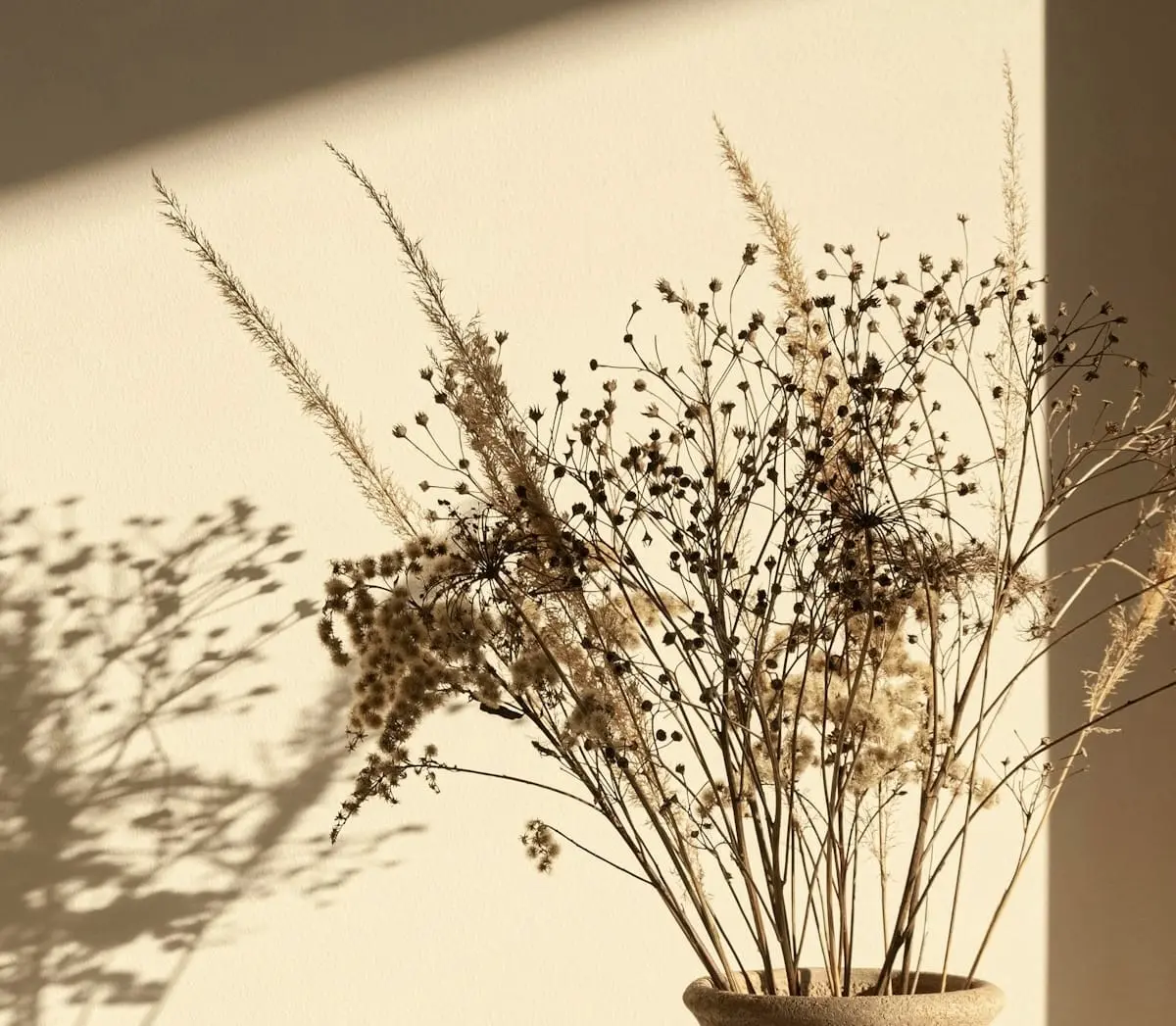 Detail of dried stems and seed heads in warm light