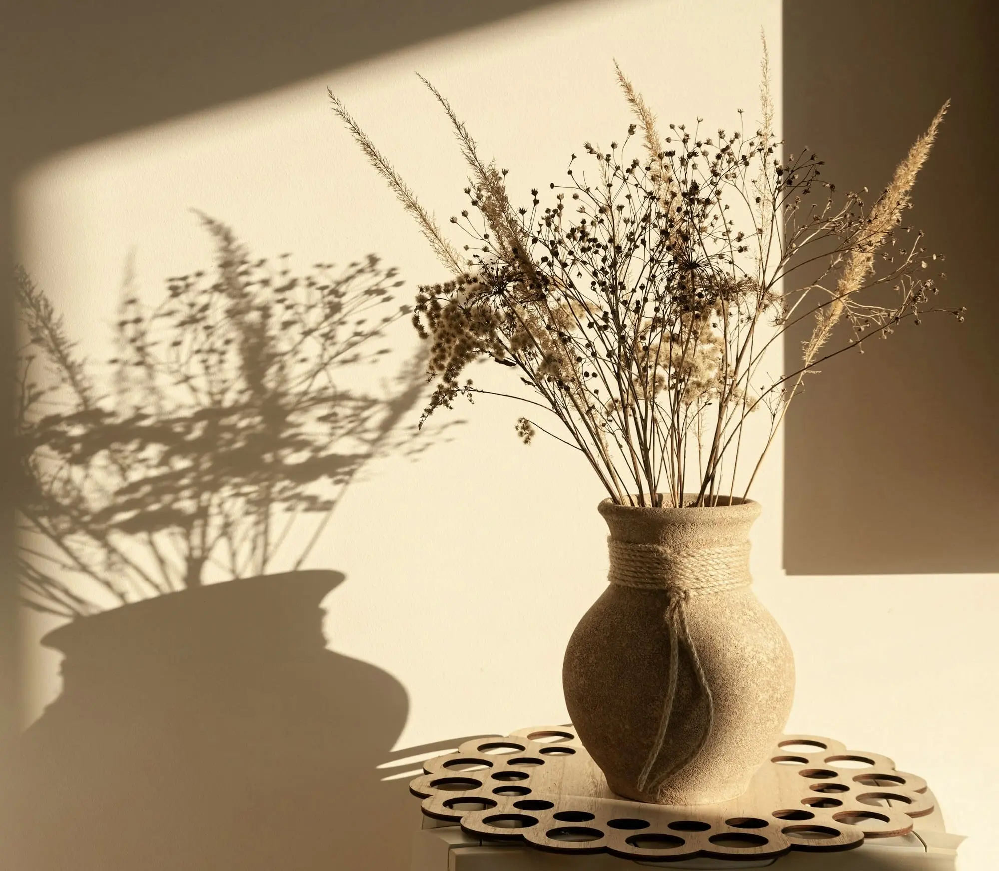 Ceramic vase of dried flowers casting a long shadow on a warm wall