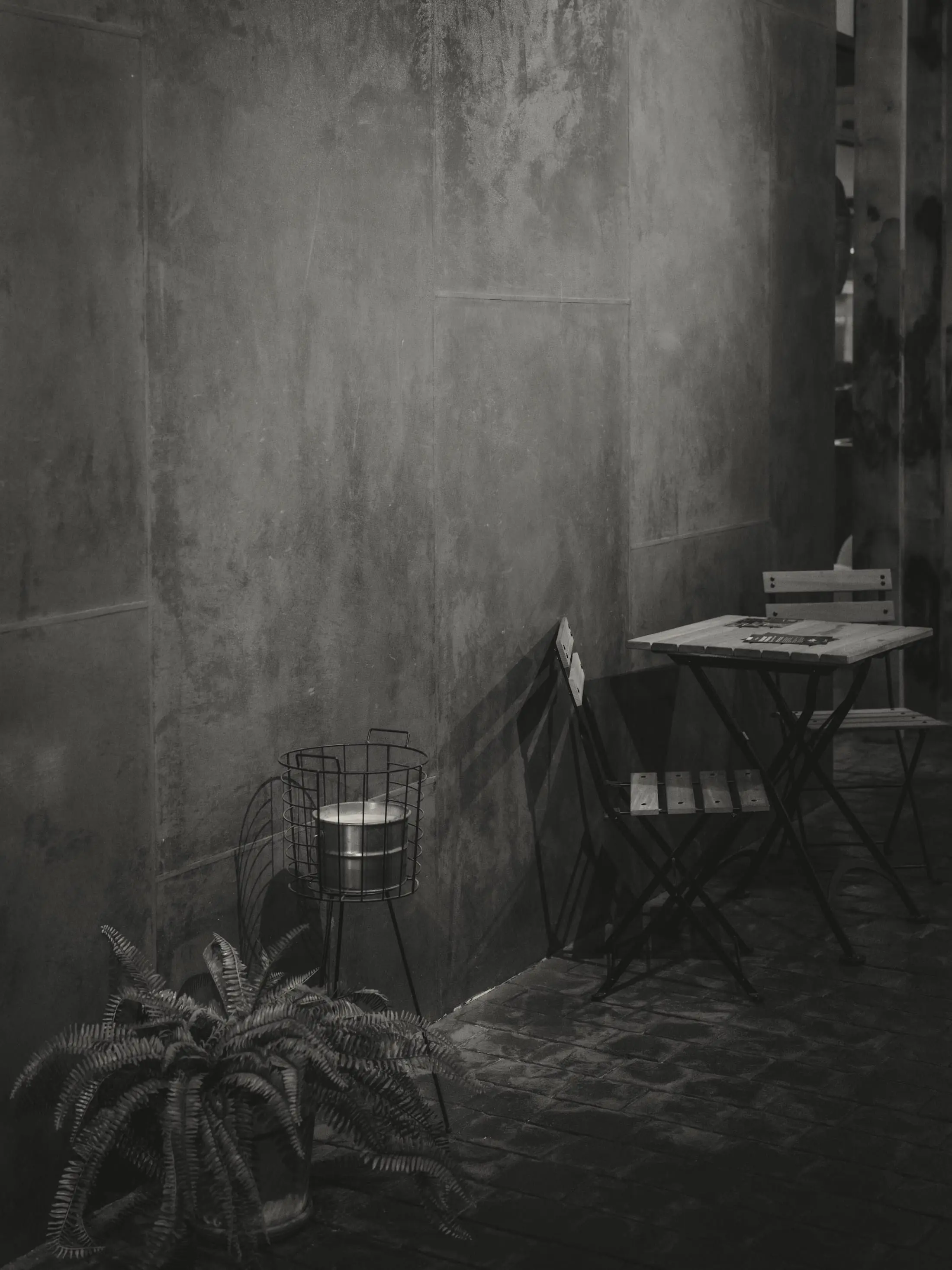 Small table and folding chairs among plants in a shadowed concrete room