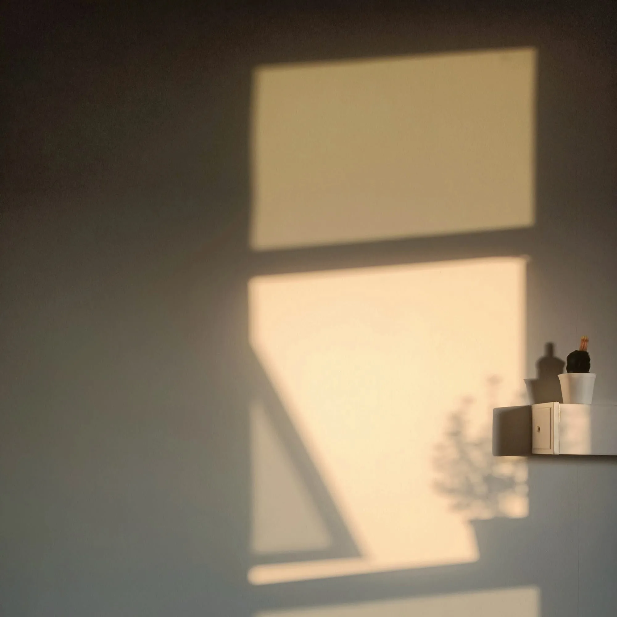 Window light falling on a warm plaster wall above a small shelf